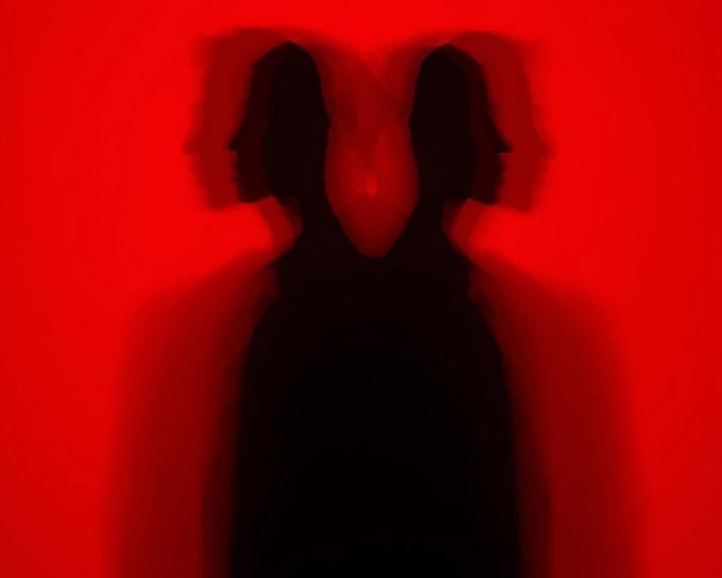 Ombre d'un profil dédoublé projetée sur un fond rouge