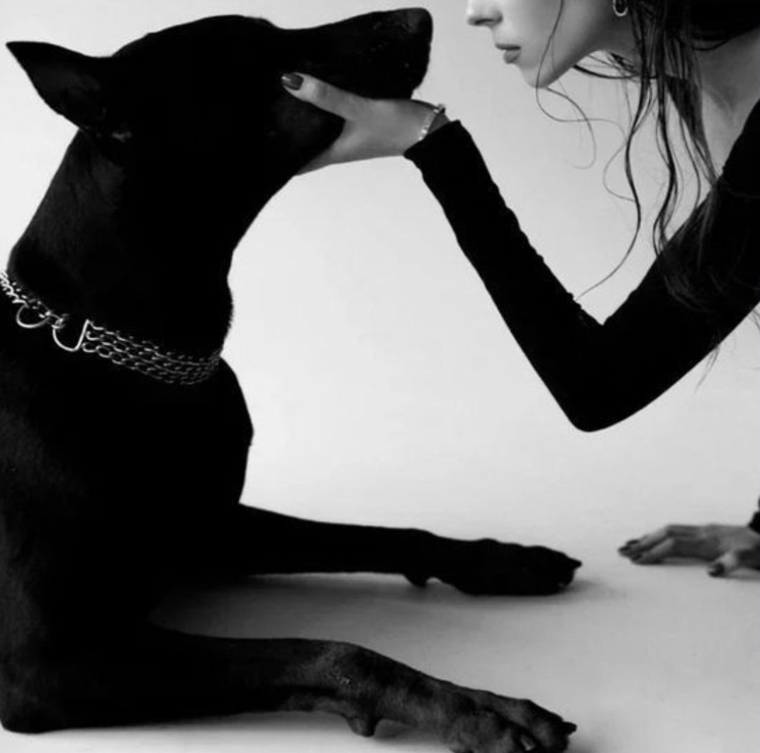Une femme vêtue de noir tient délicatement la tête d'un grand chien noir au collier en chaîne