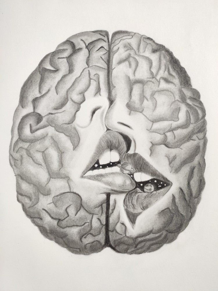 Dessin d'un cerveau vu de dessus avec deux bouches qui s'embrassent entre les hémisphères